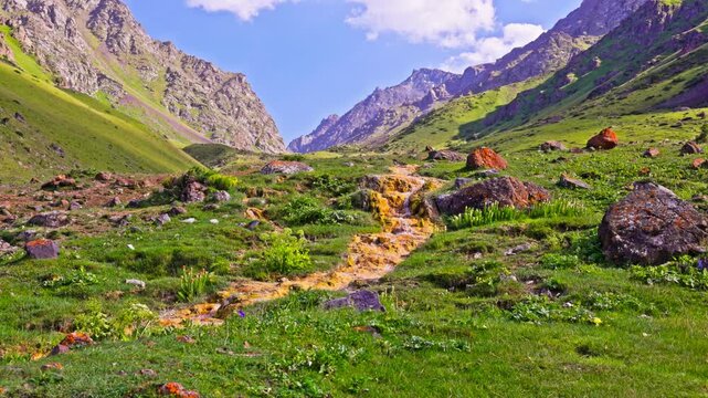 Mountain landscape features rocky terrain and lush green grass. A small stream with iron-oxidizing bacteria flows through the valley under a blue sky.