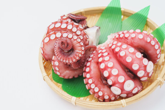 茹でダコ