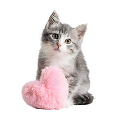 Adorable grey kitten holding a pink valentine heart, sitting upright and looking directly at the camera with curiosity and affection
