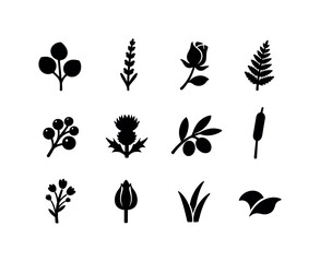 Fototapeta premium Botanical Icon Set. Seasonal wreath. Solid icon set of botanical fillers: eucalyptus leaf, lavender sprig, rose bud, fern leaf, berry cluster, thistle, olive