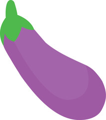 Purple eggplant or aubergine vegetable vector illustration for healthy eating and gardening design concepts isolated on white background for graphic projects