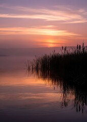 sunset over the river