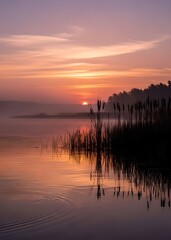 sunset over the river