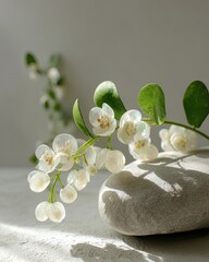 Delicate White Flowers On Stone