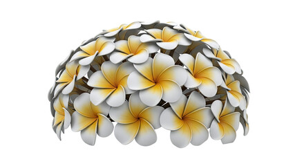 Plumeria Flower Cluster