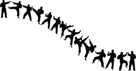 Martial arts silhouette sequence showing karate and taekwondo fighting moves and kicking techniques isolated on white background for combat sport, discipline and training concepts © MDBELAL