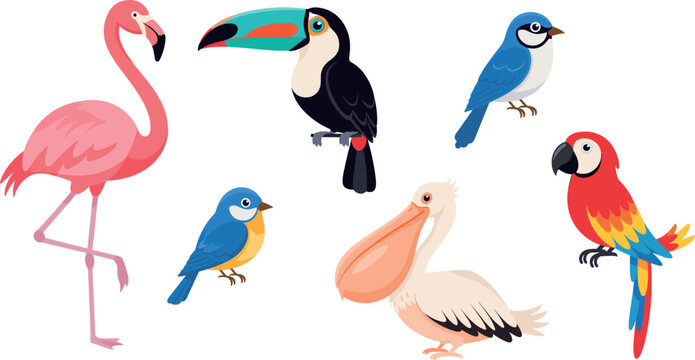 Set of colorful tropical cartoon birds flamingo toucan bluebird pelican and parrot vector illustration