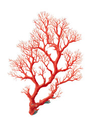 Branching red coral formation on a dark void