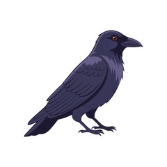 Fototapeta premium Black Crow or Raven Isolated Vector Illustration