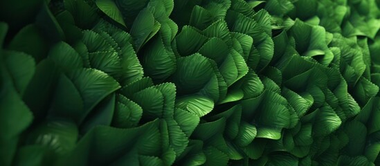 Fototapeta premium Close-up view of lush green spinach leaves, creating a vibrant and healthy texture background.