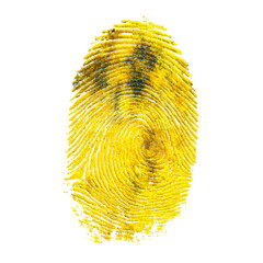 Yellow fingerprint impression with swirling ridges, isolated on black