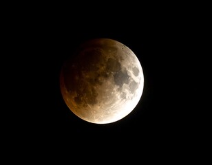 Fototapeta premium Lunar eclipse displaying shadow gradient and vibrant orange hues against a stark black night sky