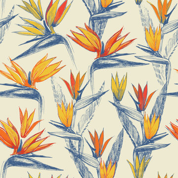 Hand-drawn seamless pattern featuring birds of paradise flowers with expressive sketch lines. Tropical floral illustration with vibrant orange and yellow petals, deep blue leaves, and a soft cream