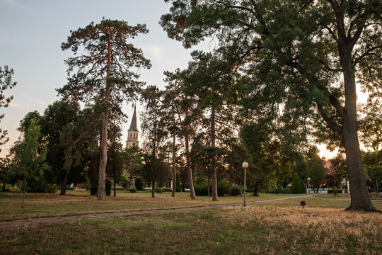 Through park trees in Ecka, Serbia, the Church of the Nativity of Saint John the Baptist rises with a tall spire. Quiet greenery and evening light frame a Catholic landmark in Vojvodina.