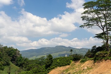 Lush green landscape with rolling hills and a vibrant blue sky on a sunny day.