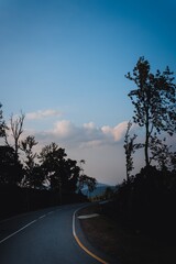 Serene empty road winding through trees under a clear blue sky during twilight.