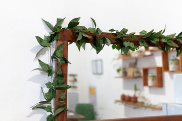 A mirror framed with lush green ivy in a modern, minimalist interior setting.