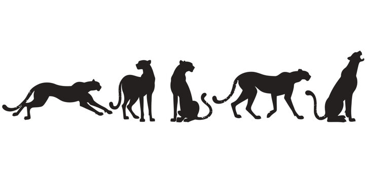 Silhouettes of five cheetahs in various poses