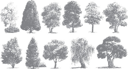 Collection of ten grey sketched trees on white background nature foliage branches © Pixel Park