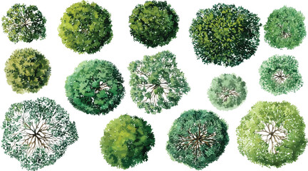 Obraz premium Collection of watercolor view trees diverse green foliage and brown branches overhead aerial