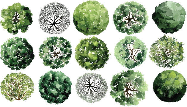 Collection of view tree in various green shades and styles overhead aerial