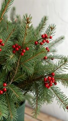 Green fir tree branch berries. celebrating christmas and winter holidays. spruce plant