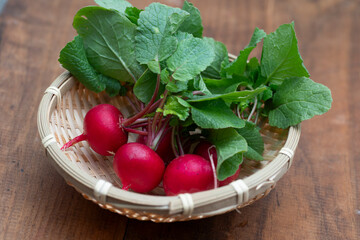 ラディッシュ、野菜、根菜、赤い、新鮮