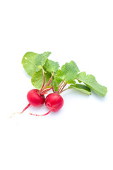 ラディッシュ、野菜、根菜、赤い、新鮮