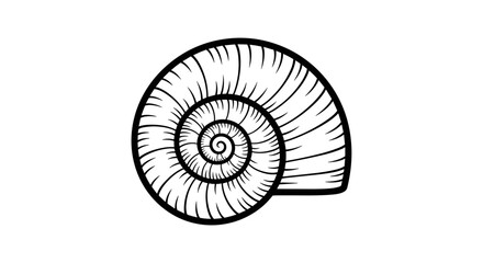 Obraz premium Detailed Black and White Illustration of a Snail Shell Spiral.