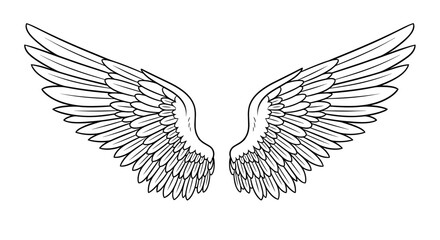 Fototapeta premium Detailed Illustration of Angelic Wings Spread Open.