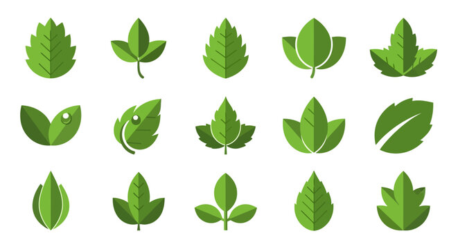 Collection of Various Green Leaves Shapes.