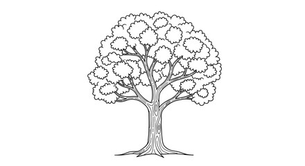 Detailed Outline Drawing of a Mature Oak Tree.