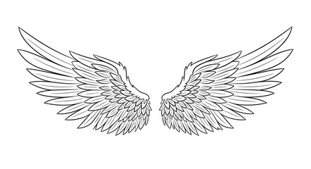 Detailed Outline Drawing of Angelic Wings Spread Open.