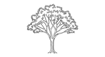 Detailed Outline Drawing of a Mature Tree with Lush Foliage.