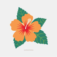 Orange Hibiscus Flower with Green Leaves Vector Illustration © Seno