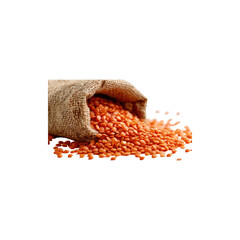Red lentils spilling from burlap sack dry pulses legumes healthy food ingredient close up isolated on white background