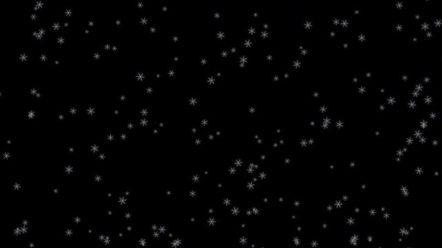 Snow overlay on black background: delicate white snowflakes in freefall for winter design