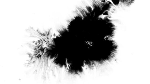 Black watercolor ink drops falling on a white background, black watercolor ink drops transition on a white background.