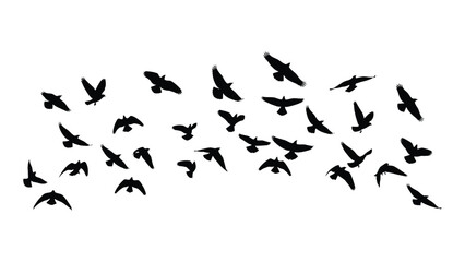 Fototapeta premium Flock of birds in flight Vector