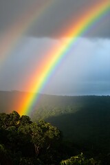 Vibrant rainbow arcs over lush green rainforest canopy