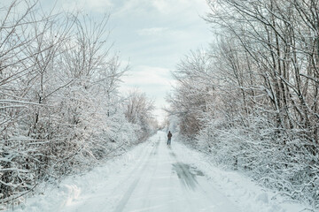 Winter road in wilderness with man in the distance