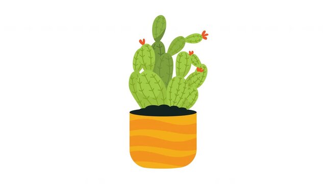 Potted Cactus With Orange Stripes
