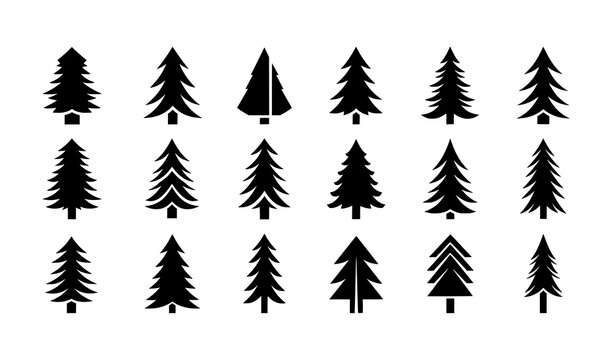 Geometric black pine tree logo icon set with modern pinus symbols vector