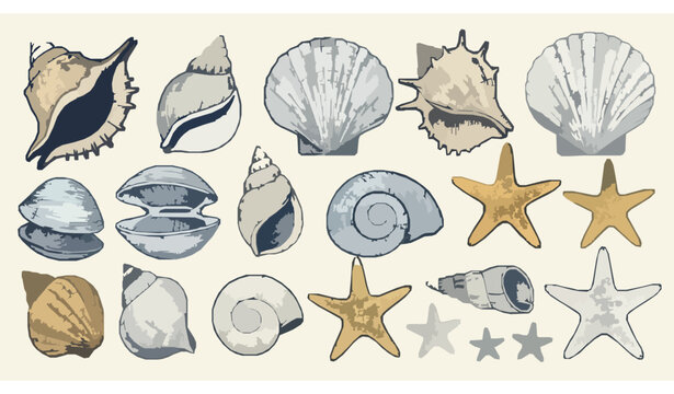 Vintage seashell and starfish engraving vector set