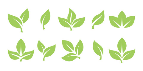 Green tea Leaf sprout icon vector illustration design