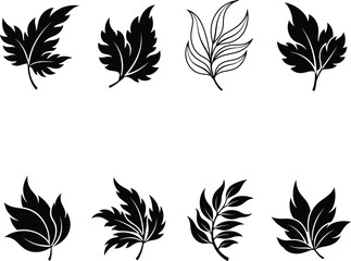 Obraz premium Collection of decorative black leaf silhouettes with white veins and outline sketch isolated on white background.