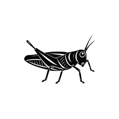 Detailed grasshopper insect on a green blade of grass, natural wildlife illustration