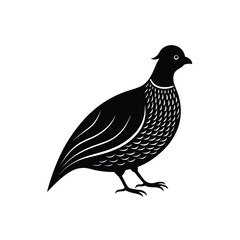 Obraz premium Elegant quail bird in profile, small game bird with distinctive crest, vector illustration