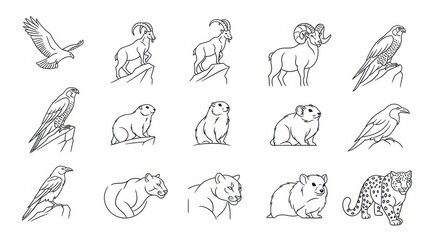 Obraz premium Wildlife Animal Line Art Icons: Birds, Mammals, Big Horn Sheep, Bear, Leopard