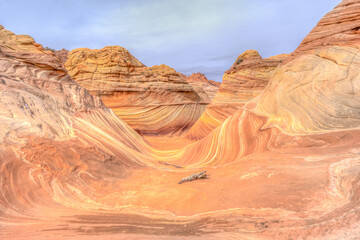 A desert landscape with a large canyon in the background